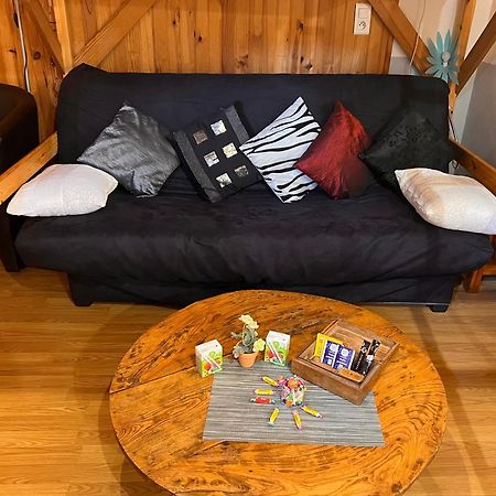 L'Astazou "Pret Gracieux Du Materiel De Ski" Au Studio Luz-Saint-Sauveur Bagian luar foto